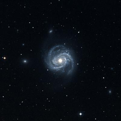 Messier 100 survey image