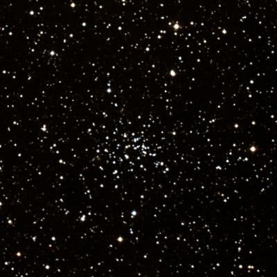 NGC 2304 survey image