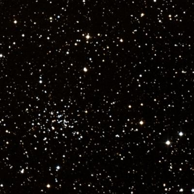 NGC 2304 survey image