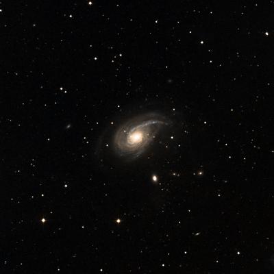 NGC 772 survey image
