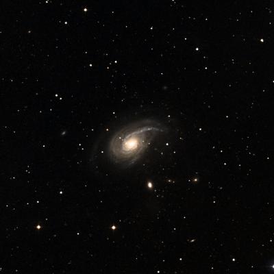 NGC 772 survey image