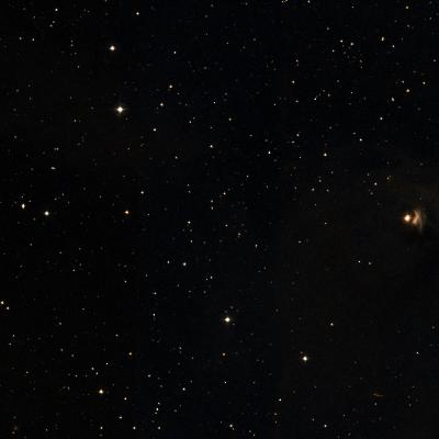 Hind's variable nebula survey image