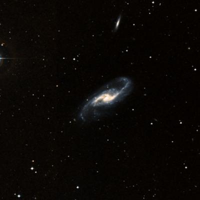 NGC 4536 survey image