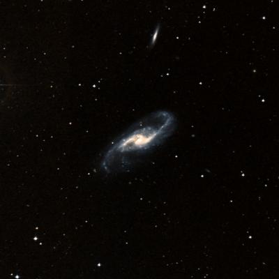 NGC 4536 survey image