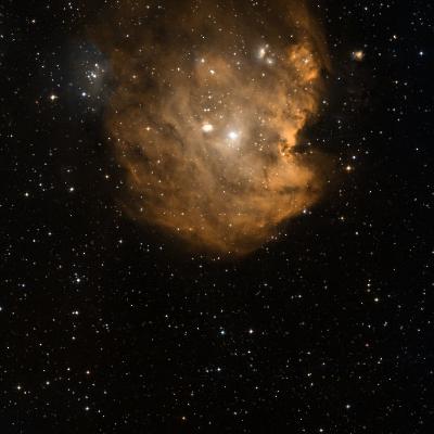NGC 2175 survey image