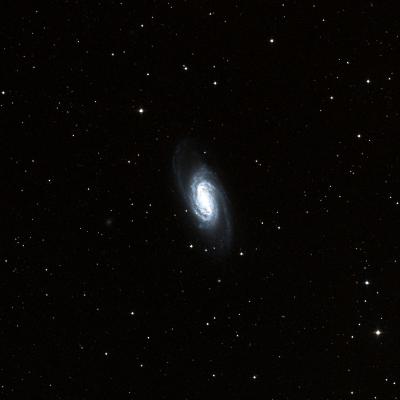 NGC 2903 survey image