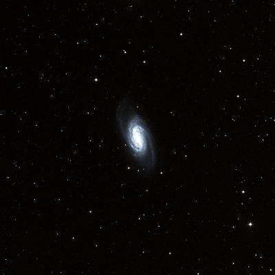 NGC 2905 survey image