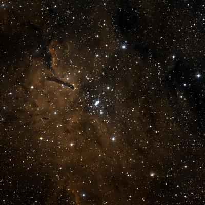 NGC 6823 survey image