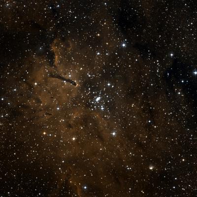 NGC 6823 survey image