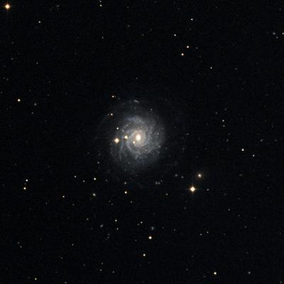 NGC 3344 survey image