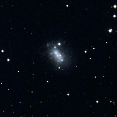 NGC 1156 survey image
