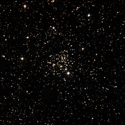 NGC 2266 survey image