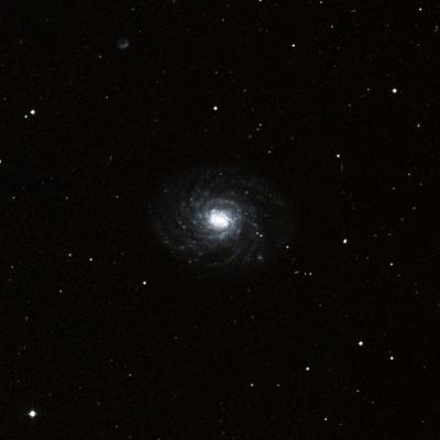 NGC 3486 survey image
