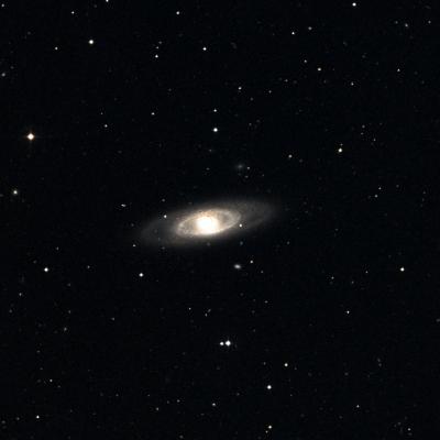 NGC 4274 survey image