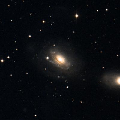 NGC 3169 survey image