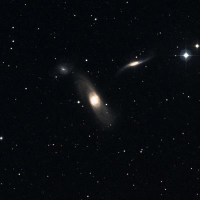 NGC 5566 survey image