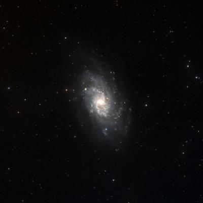 Messier 33 survey image