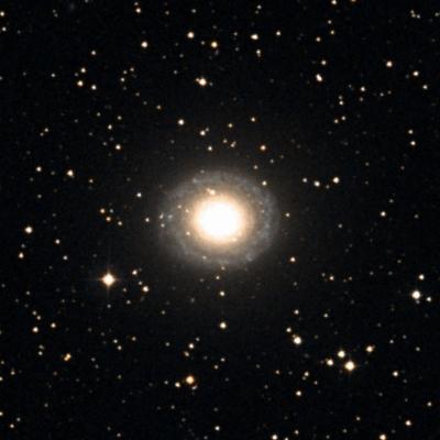 NGC 7217 survey image