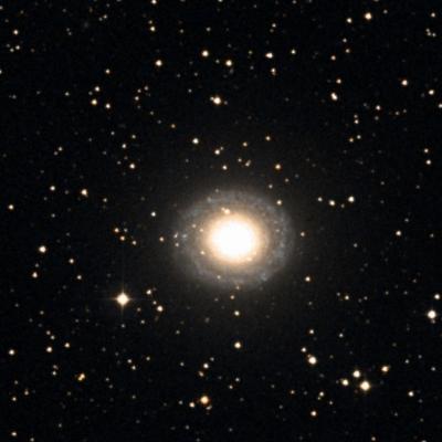 NGC 7217 survey image