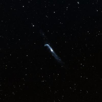 NGC 4656 survey image