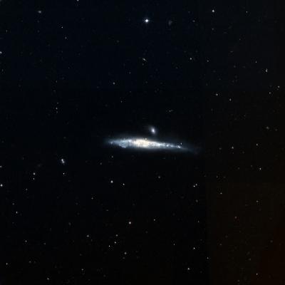 Whale Galaxy survey image
