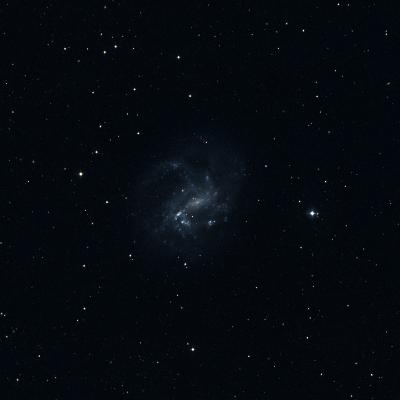 NGC 4395 survey image