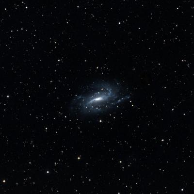 NGC 925 survey image