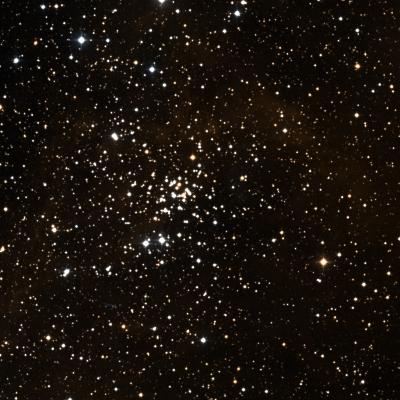 NGC 1907 survey image