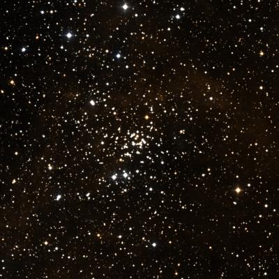 NGC 1907 survey image