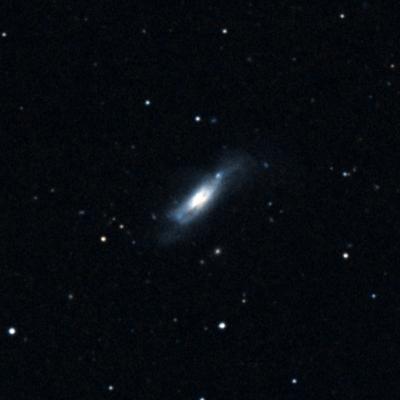 NGC 5675 survey image