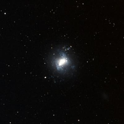 NGC 4214 survey image