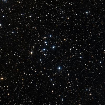 NGC 7063 survey image