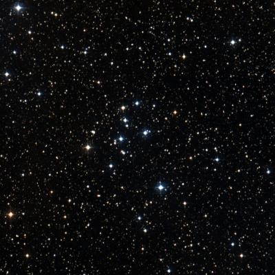 NGC 7063 survey image
