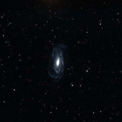 NGC 5033 survey image