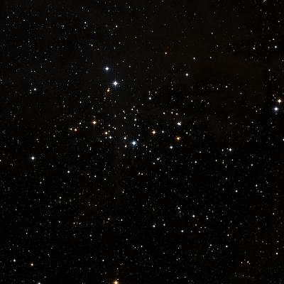 NGC 1342 survey image