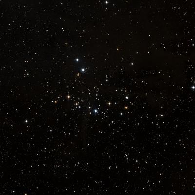 NGC 1342 survey image
