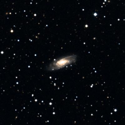NGC 818 survey image