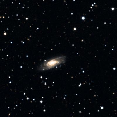 NGC 818 survey image