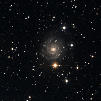 IC  239 survey image
