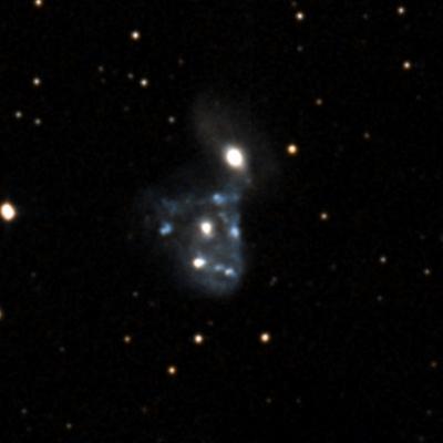 NGC 2445 survey image