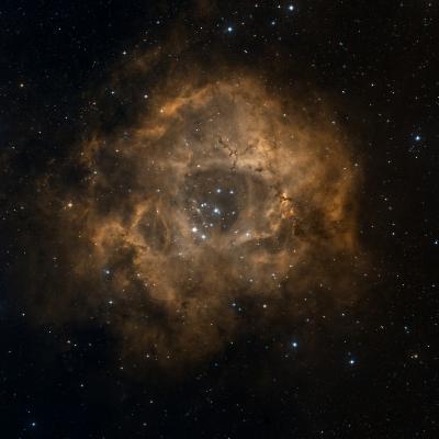 Rosette Nebula survey image