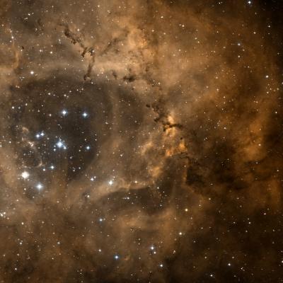 Rosette nebula survey image