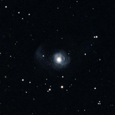 NGC 2782 survey image