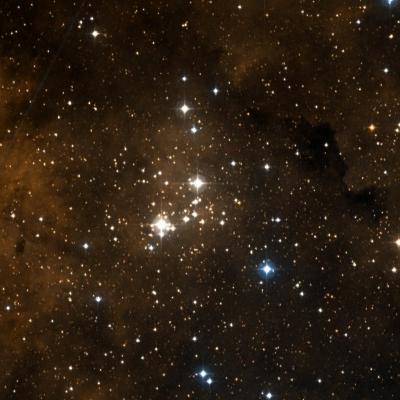 NGC 6910 survey image