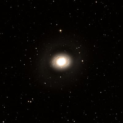 Messier 94 survey image
