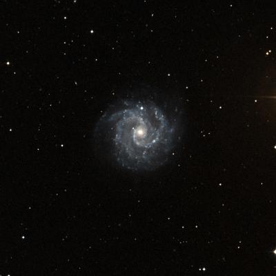 NGC 3184 survey image