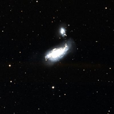 NGC 4490 survey image
