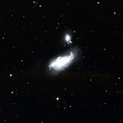 NGC 4490 survey image
