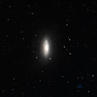NGC 3675 survey image