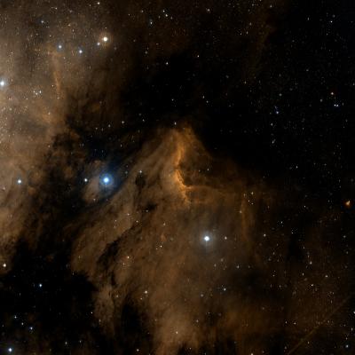 Pelican nebula survey image
